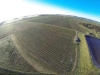 From the air - Clare Valley